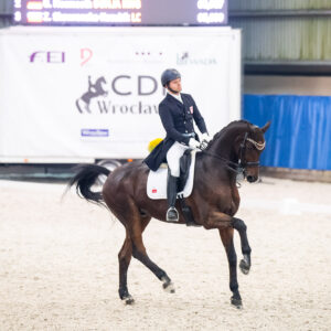 CDI Wroclaw 2023 - autumn
