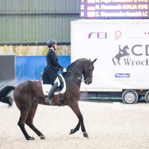 CDI Wroclaw 2023 - autumn
