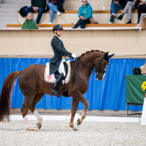 CDI Wroclaw 2023 - autumn
