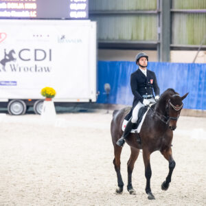 CDI Wroclaw 2023 - autumn