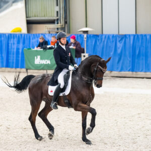 CDI Wroclaw 2023 - autumn