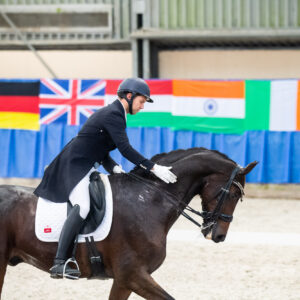 CDI Wroclaw 2023 - autumn