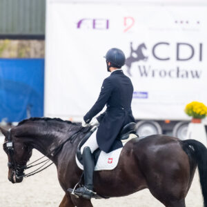 CDI Wroclaw 2023 - autumn