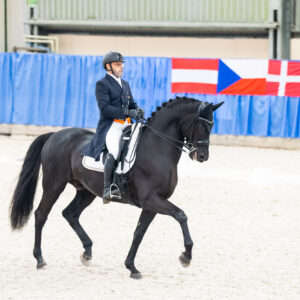 CDI Wroclaw 2023 - autumn