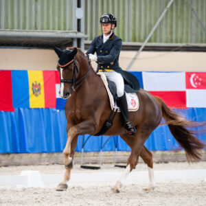 CDI Wroclaw 2023 - autumn