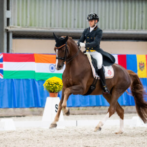 CDI Wroclaw 2023 - autumn