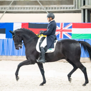 CDI Wroclaw 2023 - autumn