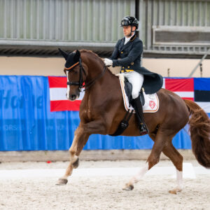 CDI Wroclaw 2023 - autumn