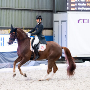 CDI Wroclaw 2023 - autumn