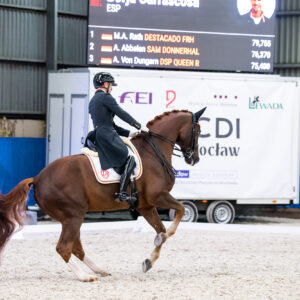 CDI Wroclaw 2023 - autumn