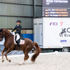 CDI Wroclaw 2023 - autumn