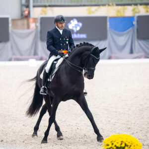 CDI Wroclaw 2023 - autumn