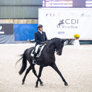 CDI Wroclaw 2023 - autumn