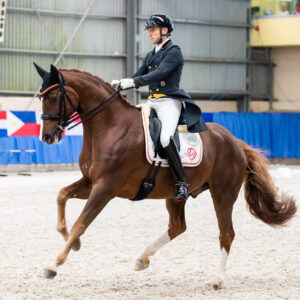 CDI Wroclaw 2023 - autumn