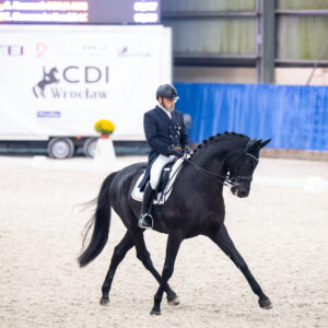 CDI Wroclaw 2023 - autumn