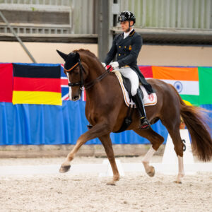CDI Wroclaw 2023 - autumn