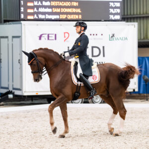 CDI Wroclaw 2023 - autumn