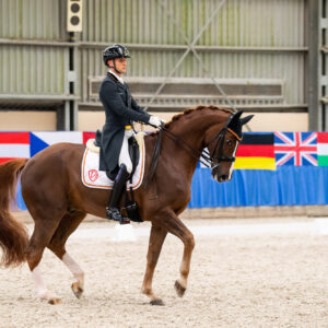 CDI Wroclaw 2023 - autumn