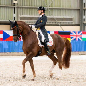 CDI Wroclaw 2023 - autumn