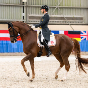 CDI Wroclaw 2023 - autumn