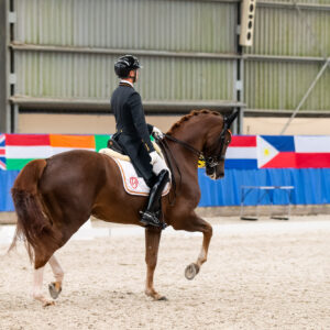 CDI Wroclaw 2023 - autumn