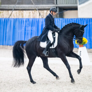 CDI Wroclaw 2023 - autumn