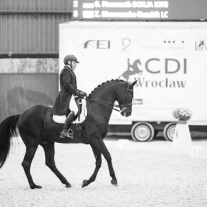 CDI Wroclaw 2023 - autumn