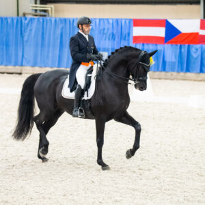 CDI Wroclaw 2023 - autumn