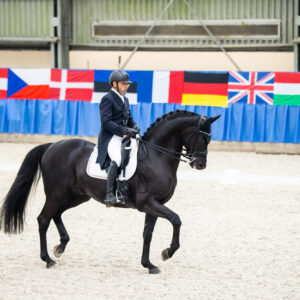 CDI Wroclaw 2023 - autumn