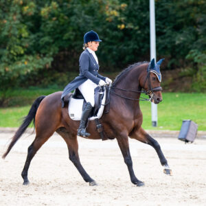 CDI Troisdorf 2023 - autumn