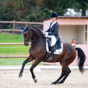CDI Troisdorf 2023 - autumn