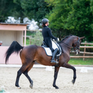CDI Troisdorf 2023 - autumn