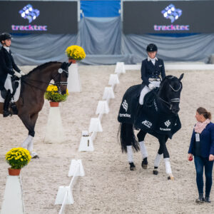 CDI Wroclaw 2023 - autumn