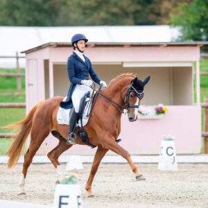 CDI Troisdorf 2023 - autumn