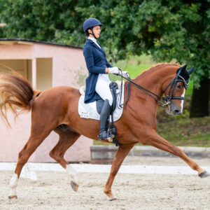 CDI Troisdorf 2023 - autumn