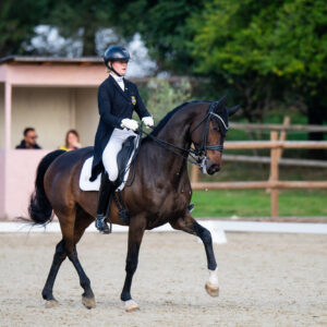 CDI Troisdorf 2023 - autumn