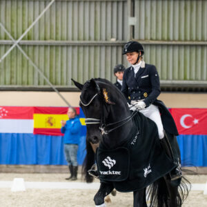 CDI Wroclaw 2023 - autumn
