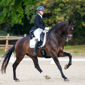 CDI Troisdorf 2023 - autumn