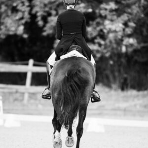 CDI Troisdorf 2023 - autumn