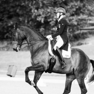 CDI Troisdorf 2023 - autumn