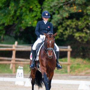 CDI Troisdorf 2023 - autumn