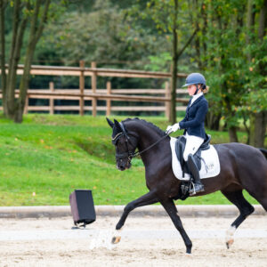 CDI Troisdorf 2023 - autumn