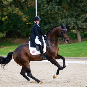 CDI Troisdorf 2023 - autumn