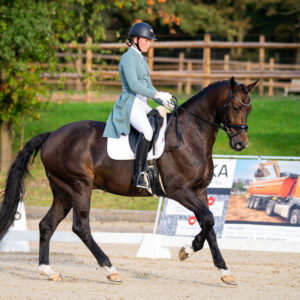 CDI Troisdorf 2023 - autumn