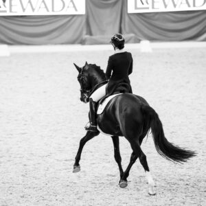 CDI Wroclaw 2023 - autumn