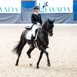 CDI Wroclaw 2023 - autumn