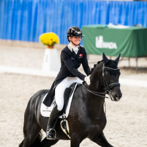 CDI Wroclaw 2023 - autumn