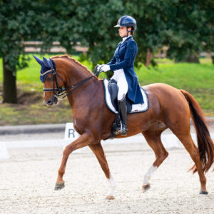CDI Troisdorf 2023 - autumn