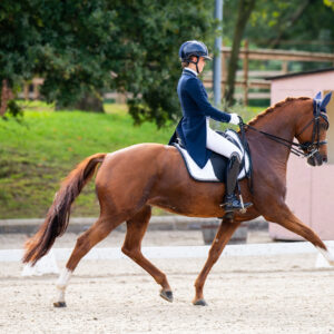 CDI Troisdorf 2023 - autumn