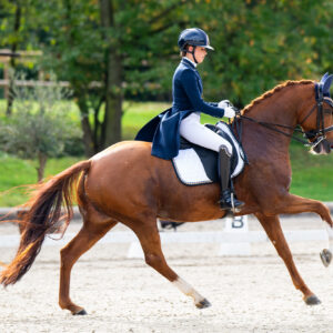 CDI Troisdorf 2023 - autumn